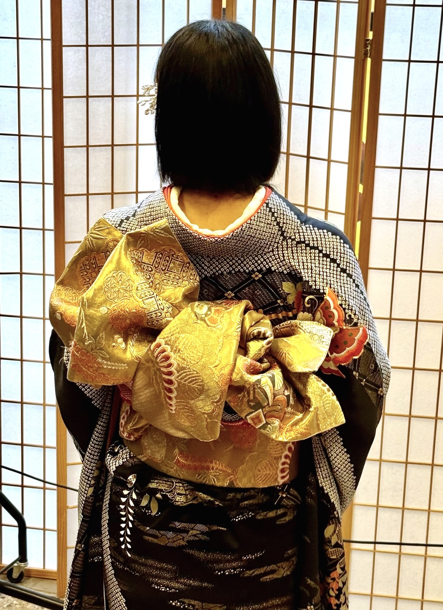 Furisode Kimono Explained: A Visual Guide to Japan's Coming-of-Age